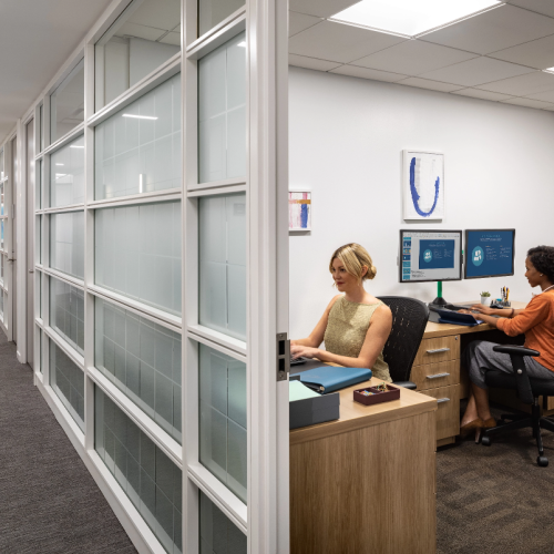 Interior Office (Frosted Glass)
