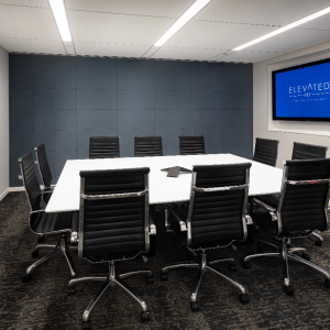 Meeting Room (Olympus)